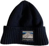 Patagonia Unisex Brodeo Beanie Hat 