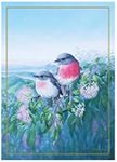 Maxwell & Williams Birds of Australia KC 10yr Anniversary Tea Towel 50x70cm Rose Robin