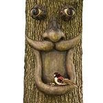 Bits and Pieces - Tree Face Bird Feeder - Yard Decorations - Whimsical Tree Hugger Sculpture - Indoor/Outdoor Decoration - Garden Peeker Yard Art