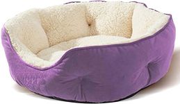 Cat Beds For Indoor Cats