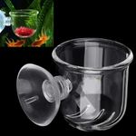 VAYINATO® Transparent Acrylic Live Blood Worms Feeding Cone with Sucker for Aquarium Fish Tank | Easy to Feed Live Worms Without Making You Tank Messy by Petzlifeworld