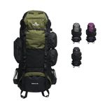 TETON Sports Explorer 65 Backpack (Olive)