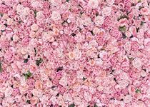 BINQOO 8x6ft Pink Flowers Backdrops Pink Rose Wall Background Girls Women Birthday Spring Tea Party Pink Floral Backdrop Weeding Bridal Shower Anniversary Ceremony Decor