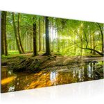 Nature Canvas For Room