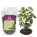 Premium Aroid Potting Mix - Soil Free Blend for Aroids - Growing Medium for House Plants by GardenNova - (2 Liters Bag)