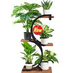 Tiered Plant Stands Indoor