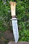 BK-3012 Handmade Damascus Steel 12.00 Inches Damascus Steel Hunting Knife - Rose Wood & Camel bone Handle