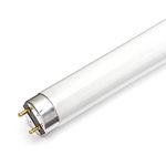 10 X F36W 4FT T8 Fluorescent Tube 840 - Cool White