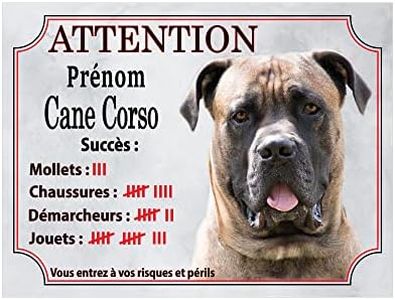 Plaque hum