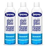 Sprayway Glass Cleaner, SW-050 19 o