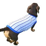 D DOGGY STAR Dachshund Clothes for Dogs Baseball Mini and Adults T Shirts (XL,Baseball Blue)