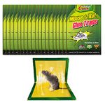 25 Packs Large Mouse Traps, Rat Traps Mice Glue Trap Rodent Trap with Enhanced Stickiness Sticky Pad Board for Indoor and Outdoor