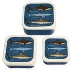 Sharks Reusable Snack Boxes (Set of 3)