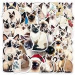 50PCS Siamese Cat Stickers for Computer,Car,Phone,Scrapbook,Helmet,Water Bottle,Laptop, Skateboard,Luggage,Cute Animal Vinyl Sticker,Children Adults Gift,Cartoon Cat Waterproof Graffiti Decals