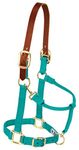 Weaver Leather Nylon Adjustable Breakaway Horse Halter, Large, Emerald Green