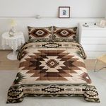 Bohemian Tribal Comforter Set Queen Size 3 Pcs Vintage Brown Green Ethnic Plaid Bedding Comforter for Kids Teens Adults Wooden Retro Grid Stripes Rustic Quilt Duvet Set with 2 Pillowcases