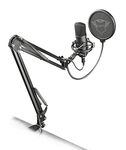 Voice Actor Microphone