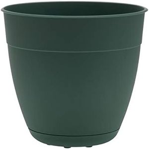 Bloem Dayton Recycled Plastic Planter 8" Turtle Green (DAY0855)