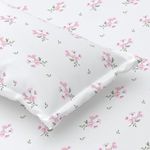 Plumora 300 TC Cotton Bed Sheet for Double Bed with 2 Pillow Covers - Queen Size, 90x100 Inches, Soft & Breathable, Premium Cotton Queen Size Bed Sheet, Ideal for Modern Bedrooms(Pastel Daisy)