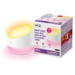 WiZ Squire Table Lamp - Portable- Smart- Full-Color Light - Connects to Your Existing Wi-Fi - Control with Voice or App - Works with Google Home, Alexa and Siri Shortcuts