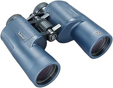 Bushnell H