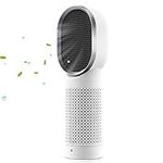 QUEENTY Air Purifier for Home with True HEPA Filter, Portable Air Purifier for Bedroom 2 Speeds, Energy Save, Remove 99.97% of Pollen, Allergy Particles, Dust, Smoke, Odors Pets Hair (White)