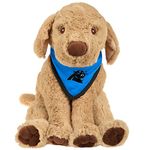 FOCO Carolina Panthers Bandana Puppy - Kit