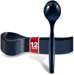 12 Count 10-Inch Disposable Serving Spoons, Black Plastic Serving Spoons for Catering Weddings, Holiday Parties, and More, Large Plastic Serving Utensils for Buffet, Party Spoons, Stock Your Home