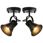 SEEBLEN Track Light Modern Ceiling Spot Lighting Indoor, Adjustable Wall Mount Accent Light,for Bedroom Living Room Hallway Kitchen Painting(2 Pack)