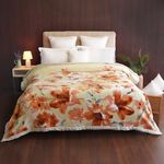 MYTRIDENT Classic Cozy Cacoon Double Blanket, Jasper