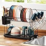 iSPECLE Dish Drying Rack - 2 Tier S