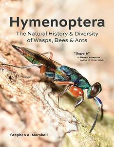 Hymenopter