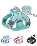 Solmoony Dog Harness for Small Medi