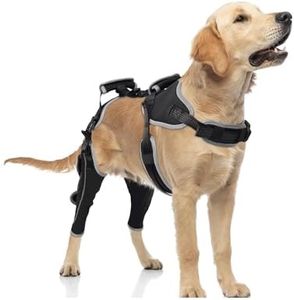 LISPOO Dog