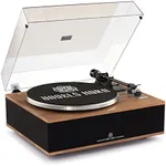 ANGELS HORN Vinyl Record Player, Bl