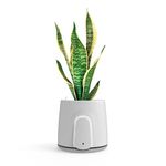 VITESY NATEDE SMART Air Purifier Without Filters to Change with Integrated Monitoring System | -99% of Bacteria, Microbes, Mold, VOCs and Viruses | Capture Ambient Odors | Sustainable & MADE IN ITALY