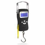 American Weigh Scales 72212 H-110 Portable Luggage/Fishing Scale, Black