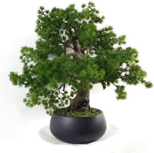 Leaf LEAF-7518 50cm Artificial Pine Bonsai Tree