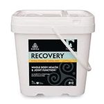 PURICA Recovery Extra Strength - Eq