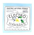Asher Electro Hawaiian Lap Steel St
