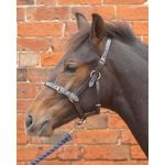 William Hunter Equestrian Hy Leather Foal Head Collar - large - black