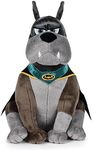 DC Comics Super Pets DCP021 Plush Toy - 25cm - Ace Le Bat Dog