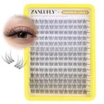 ZANLUFLY Lashes Clusters Natural CC Curl Eyelash Clusters Wispy 168Pcs Individual Lashes Clear Band DIY Eyelash Extension (9MM 10MM 11MM)