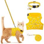 BINGPET Cat Harness with Leash and Collar for Walking - Escape Proof with 59 Inches Leash - Adjustable Soft Vest Harnesses for Medium Large Cats Bee