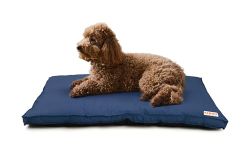 KIBBO Waterproof Flat Bed for Dogs and Cats | Detachable Cover & Washable Dog Bed | Lighweight Design with Anti-Skid Base | for Small Breed | Blue