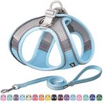 AIITLE Dog Harness, No-Pull Cat Harness with a Leash, Adjustable Reflective Dog Vest, Cat Harness Escape Proof, Outdoor Walking, Running,Training for Extra Small Dogs and House Cats Blue XXXS