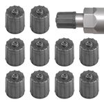 10 pcs Plastic Tyre Valve Dust Caps, Universal Car Valves Cover with Seal Dust Cover for SUV, Motorbike, Trucks, Bike, Bicycle, Screw-On(COLOR:Grey)