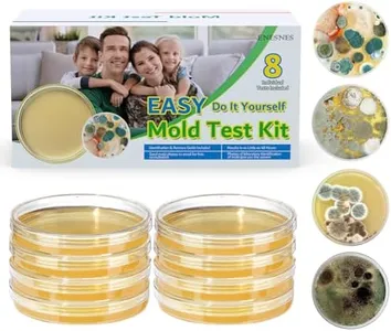 Mold Test 