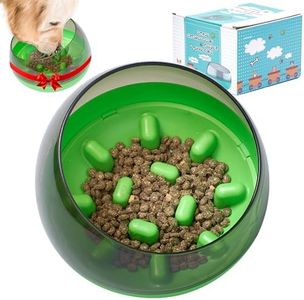 DDOXX Slow Feeder Dog Bowl - Dog Bowls That Slow Down Eating - Anti-Choking Puppy Slow Feeder - Maze Food Bowl for Slow Feeding - Prevent Bloating, Promote Healthy Eating - Puzzle Design - Green