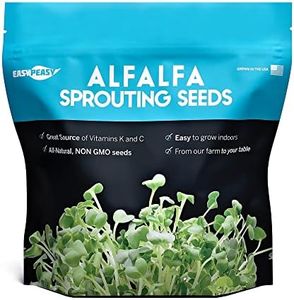 Alfalfa Sp